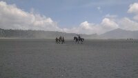 IMAG0389.jpg image