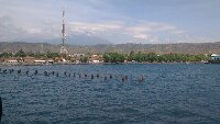 IMAG0402.jpg image