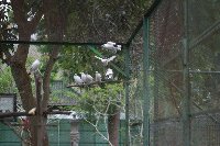 IMG_0039_bearbeitet.jpg image