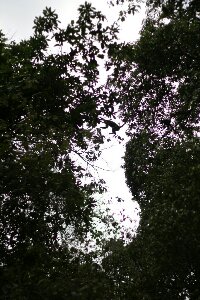 IMG_0074_bearbeitet.jpg image