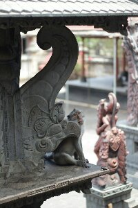 IMG_0110_bearbeitet.jpg image