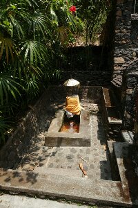 IMG_0154_bearbeitet.jpg image