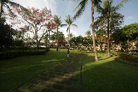 IMG_0243_bearbeitet.jpg image