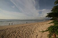 IMG_0252_bearbeitet.jpg image