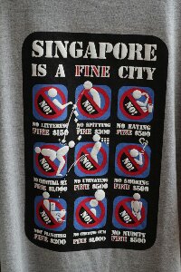 IMG_0424_bearbeitet.jpg image