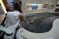 IMG_0606_bearbeitet.jpg image