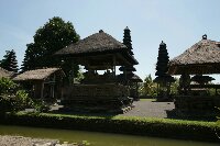 IMG_9750_bearbeitet.jpg image