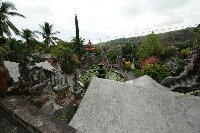 IMG_9898_bearbeitet.jpg image