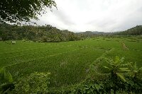IMG_9913_bearbeitet.jpg image
