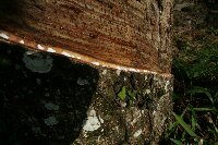 IMG_9939_bearbeitet.jpg image