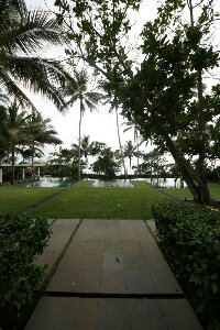 IMG_9958_bearbeitet.jpg image