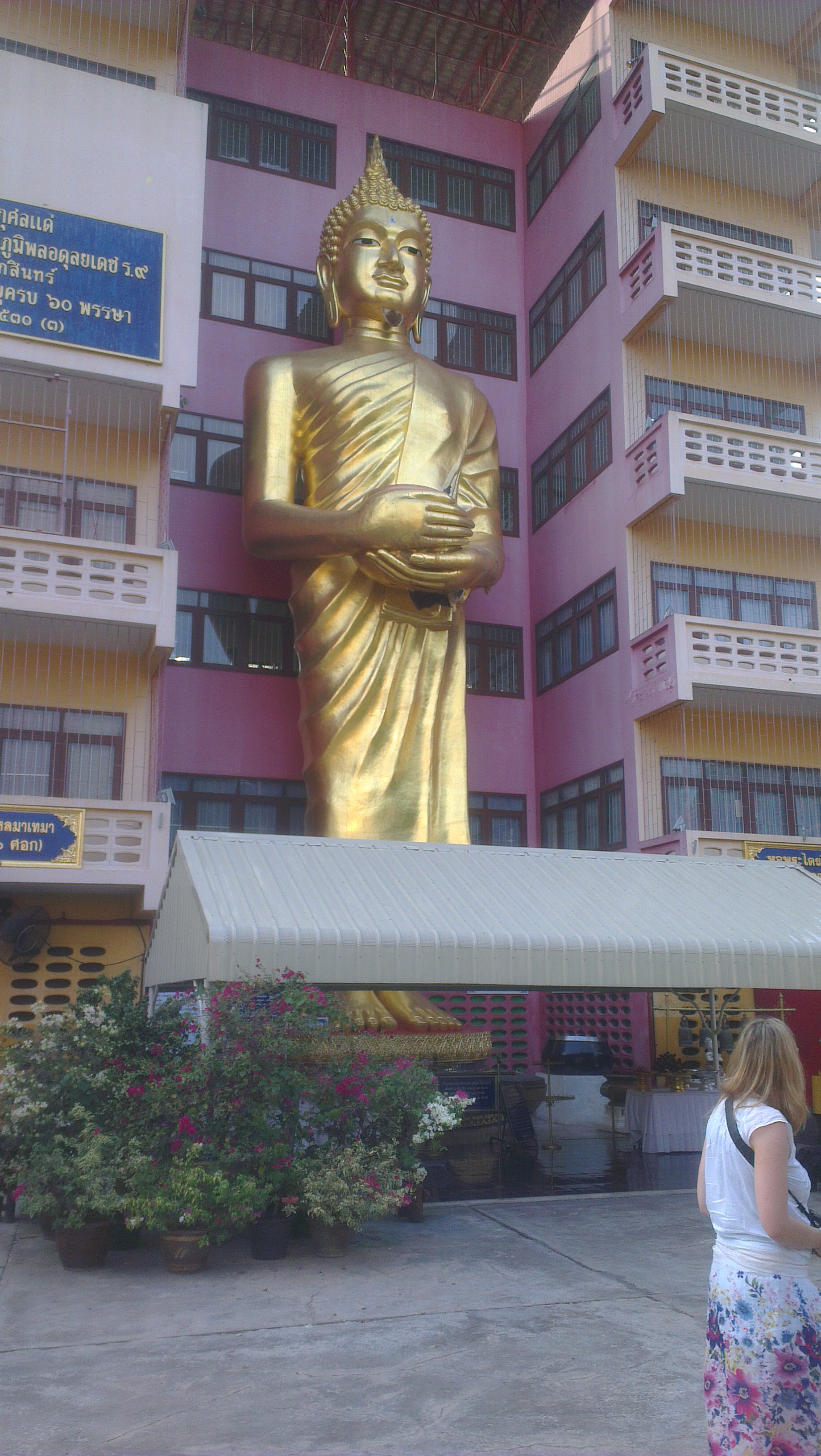 IMAG0768.jpg image