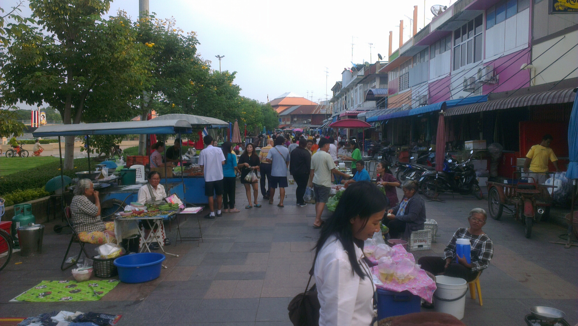 IMAG0779.jpg image